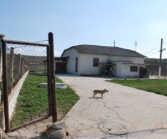 Abator (boina) şi teren 6 ari